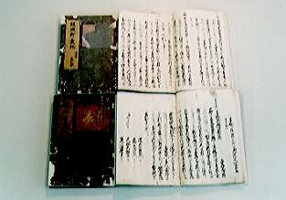 飯湖新発記